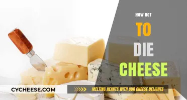 Cheese and Longevity: Smart Choices for a Healthier Life
