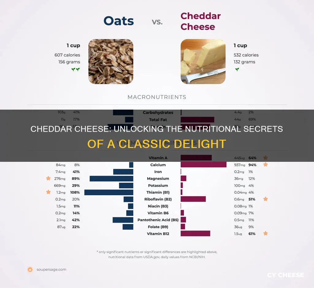 how nutritious is cheddar cheese