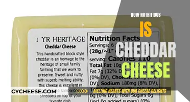 Cheddar Cheese: Nutritional Benefits and Drawbacks