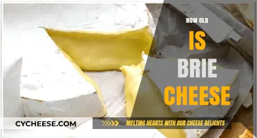 Unveiling Brie Cheese's Age: A Journey Through Its Rich History