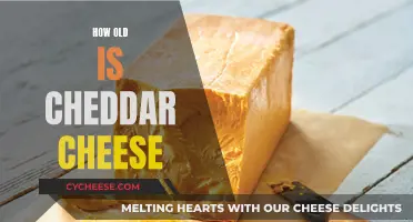 The Timeless Cheddar: Unveiling Its Ancient Origins and Flavor Evolution