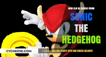 Unveiling Cheese's Age: Sonic the Hedgehog's Loyal Companion Explored