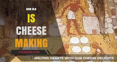 The Ancient Art of Cheese Making: A Historical Journey