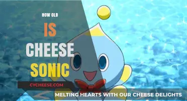 Unveiling Cheese Sonic's Age: A Deep Dive into Sonic's Sidekick