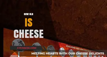 Exploring the Timeless History and Age of Cheese