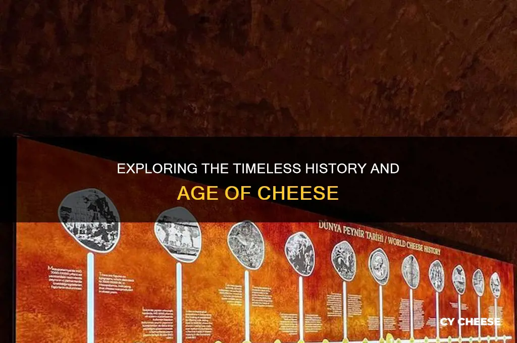 how old is cheese