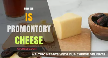 Unveiling the Age-Old Mystery of Promontory Cheese's Timeless Legacy