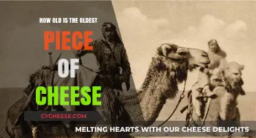 Unveiling the Age of the World's Oldest Piece of Cheese
