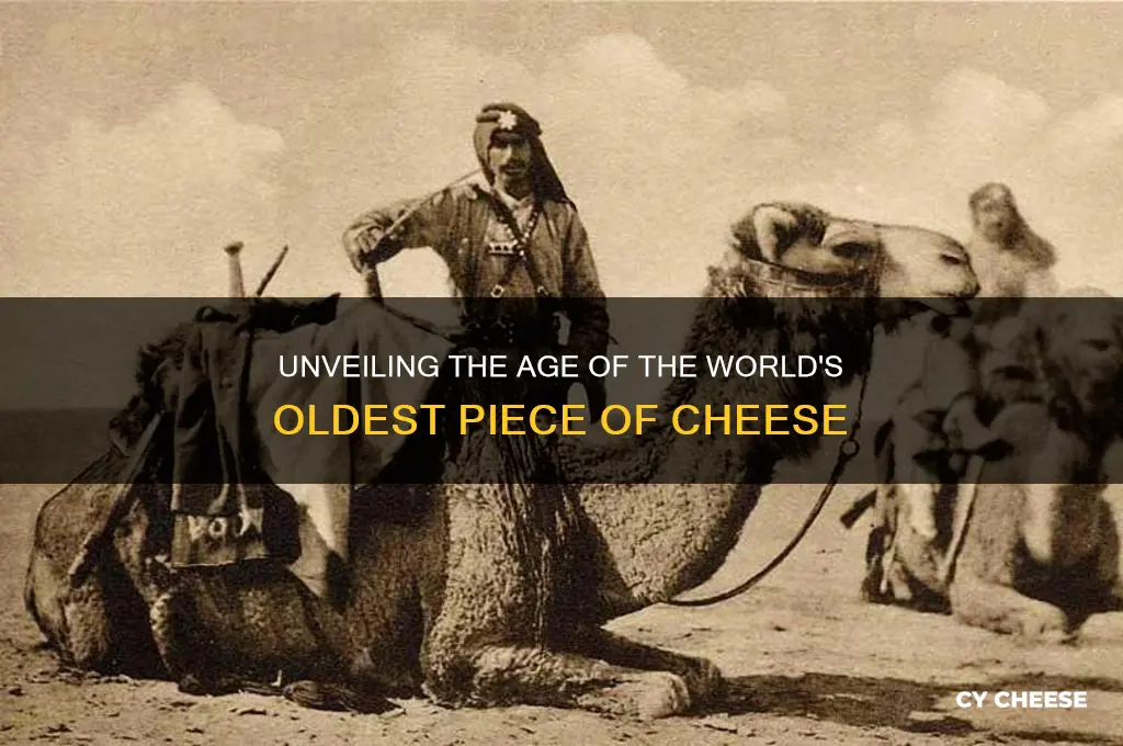 how old is the oldest piece of cheese