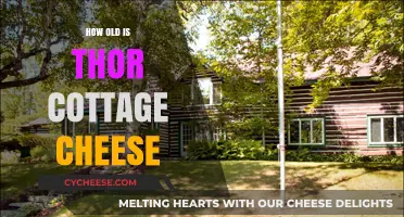 Thor Cottage Cheese: Unveiling Its Age and Timeless Appeal