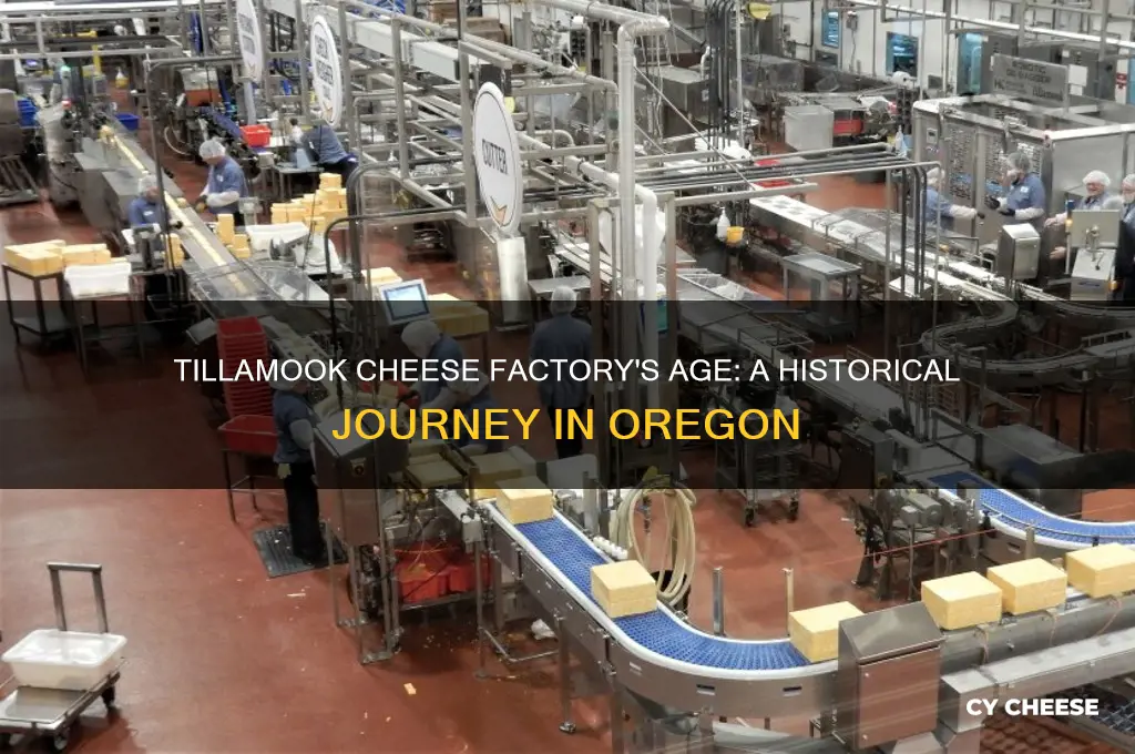 how old is tillamook cheese factory in tillamook oregon