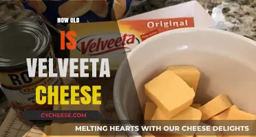 Uncovering Velveeta's Age: A Cheesy History and Timeline
