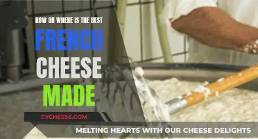 The Art of French Cheese: A Regional Guide