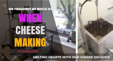 Paracaseinate & Micelles: Unlocking the Science Behind Cheese Making