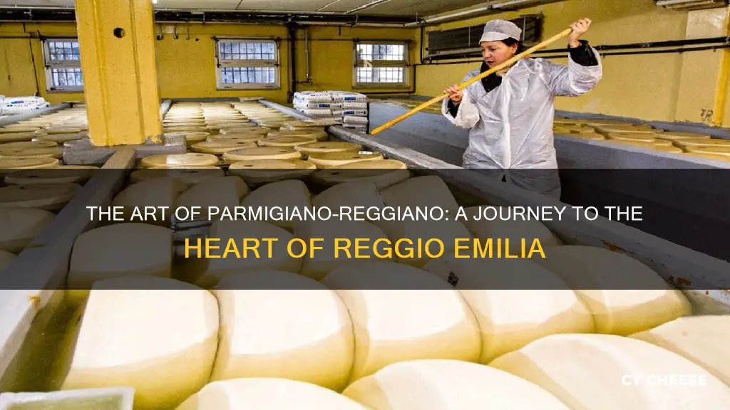 how parmesan cheese is made reggio emilia