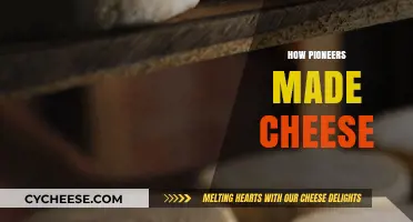 Cheese Evolution: A Journey Through Pioneer Techniques