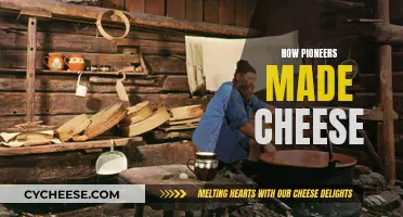 Pioneering Cheese-Making: Ancient Methods, Delicious Results