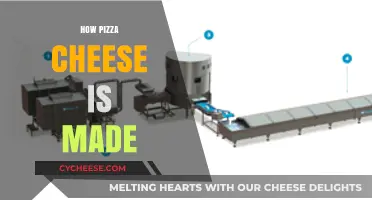 From Milk to Melty Delight: The Journey of Pizza Cheese