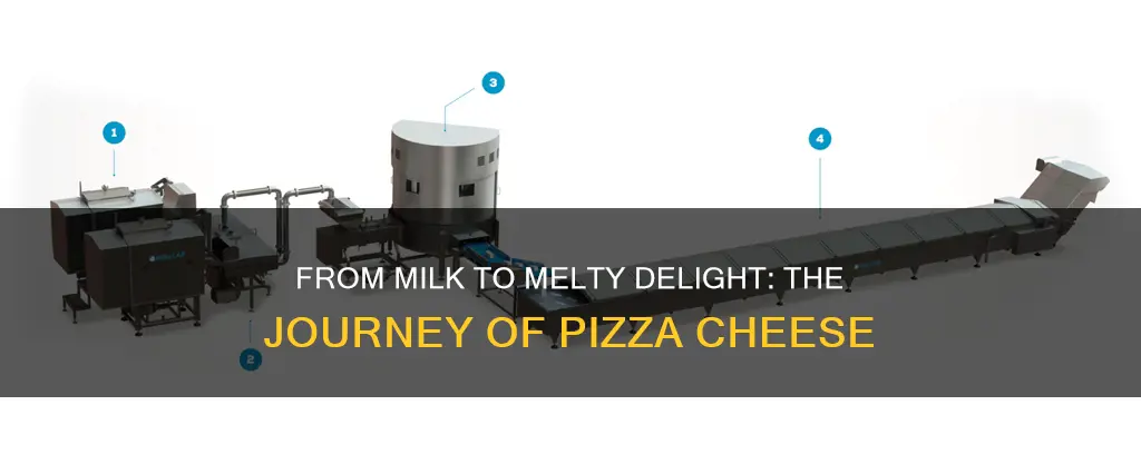 how pizza cheese is made