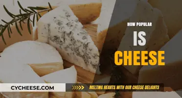 Cheese's Global Appeal: Exploring Its Universal Popularity and Cultural Impact
