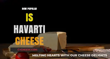 Discovering Havarti Cheese: Its Popularity and Global Culinary Appeal