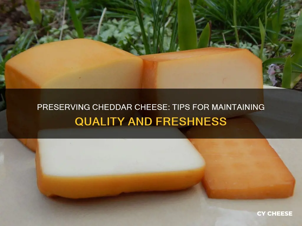 how preserve cheddar cheese
