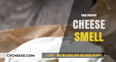 Effective Tips to Prevent Cheese Smell in Your Fridge and Home