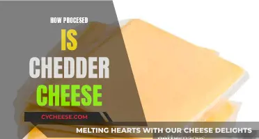 Unveiling the Journey: From Cow to Cheddar