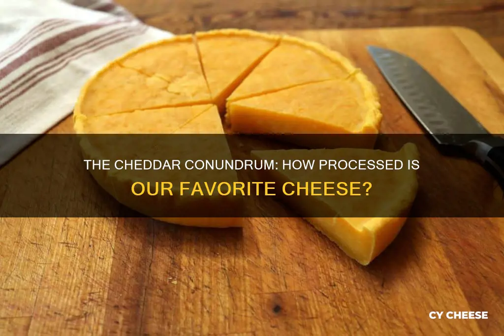 how procesed is chedder cheese