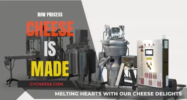 Process Cheese: A Step-by-Step Guide to Its Making