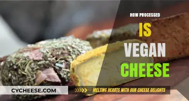 Unveiling Vegan Cheese: Processing, Ingredients, and Health Considerations