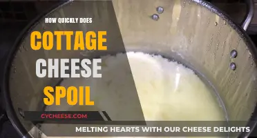 How Quickly Does Cottage Cheese Spoil? A Freshness Guide