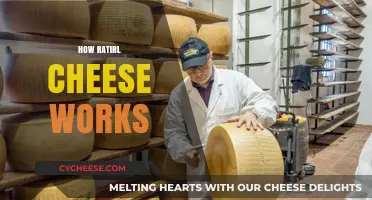 Understanding Ratirl Cheese: Production, Flavor, and Culinary Uses Explained