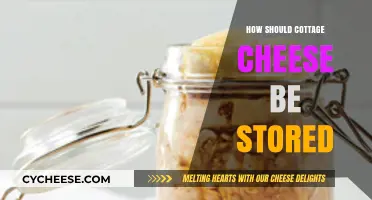 Proper Cottage Cheese Storage Tips for Freshness and Longevity