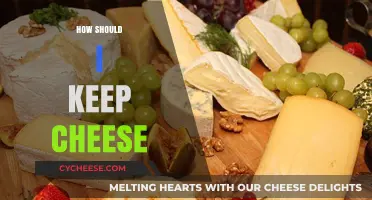 Mastering Cheese Storage: Tips to Keep Your Cheese Fresh Longer