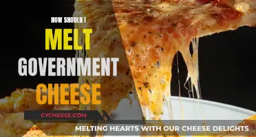 Melting Government Cheese: A Step-by-Step Guide