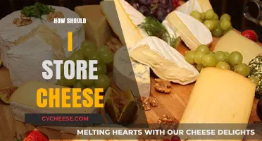 Mastering Cheese Storage: Tips for Freshness and Flavor Preservation