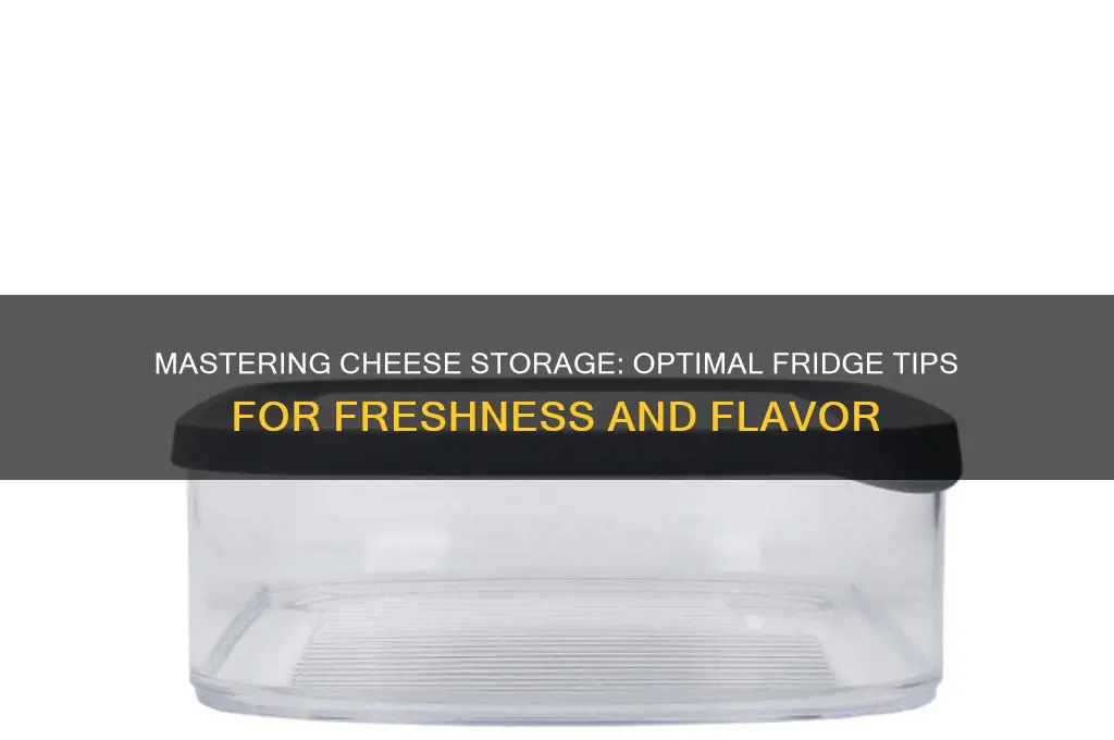 how should you store cheese in the fridge