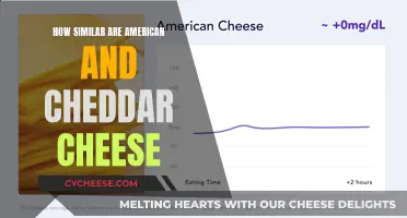 American vs. Cheddar: Unveiling the Cheesy Similarities and Differences