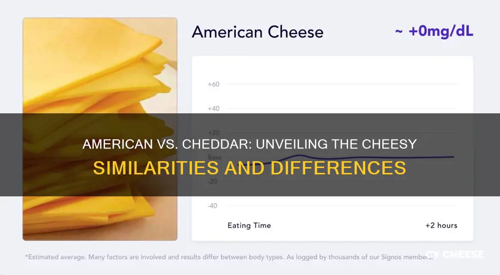 how similar are american and cheddar cheese