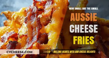 Aussie Cheese Fries: Unveiling the Tiny, Tasty Snack Size