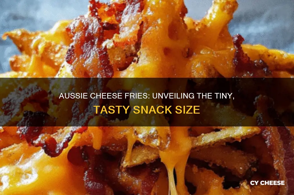 how small are the small aussie cheese fries
