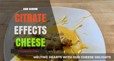 Sodium Citrate's Magic: Transforming Cheese Texture and Flavor