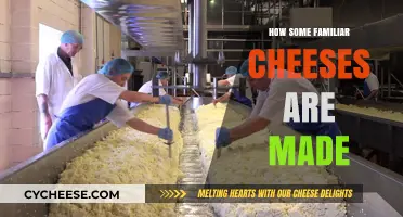 Unveiling the Art of Cheesemaking: A Journey into Familiar Flavors