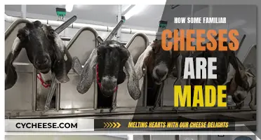Making Familiar Cheeses: A Step-by-Step Guide