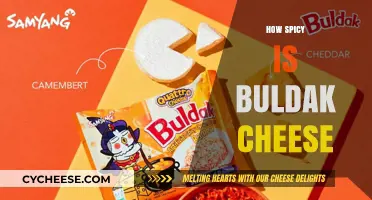Exploring the Fiery Heat of Buldak Cheese: A Spicy Adventure