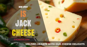 Exploring the Mild Heat: How Spicy is Jack Cheese Really?