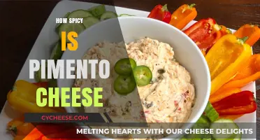 Exploring the Heat Level of Pimento Cheese: Mild or Fiery?