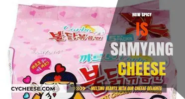 Exploring the Fiery Heat of Samyang Cheese: A Spiciness Review