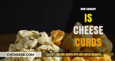 Exploring the Squeak Factor: How Squeaky Are Cheese Curds?